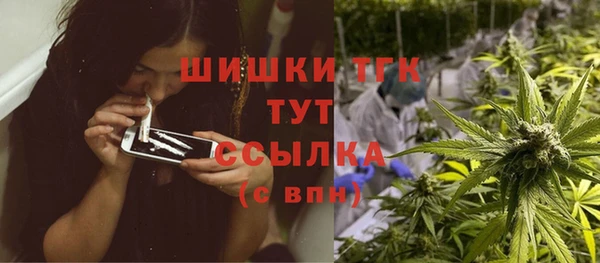 PSILOCYBIN Верхний Тагил